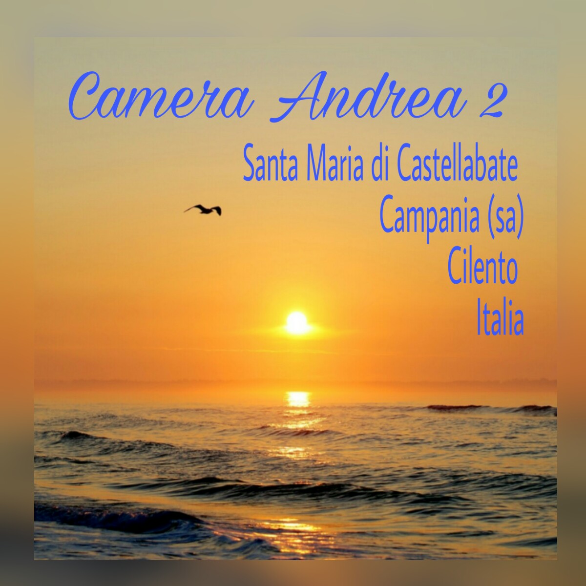 Camera Andrea 2 